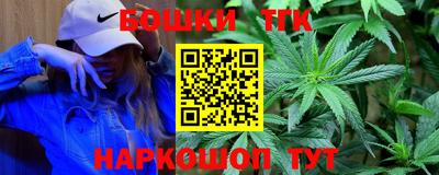 стаф Майкоп