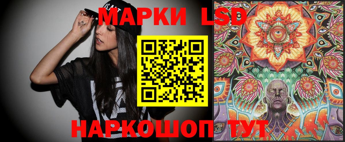 APVP Ижевск