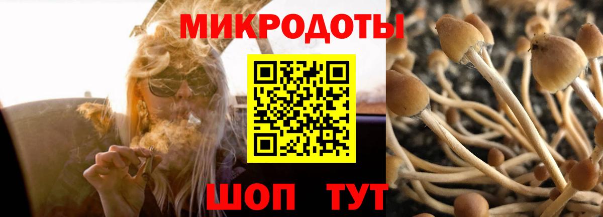 Галлюциногенные грибы Cubensis  Вход с VPN  Ижевск 